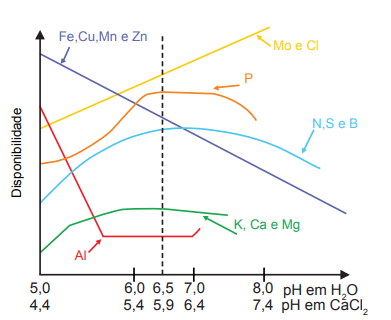 Disponibilidade de nutrientes do solo em função do pH do solo
