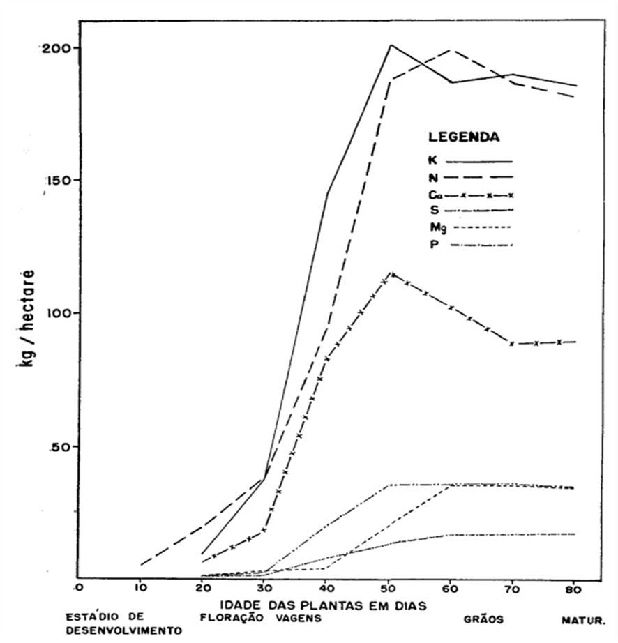 Quantidade de macronutrientes (Kg) absorvidas por 250.000 plantas (1 ha) em função do seu desenvolvimento.