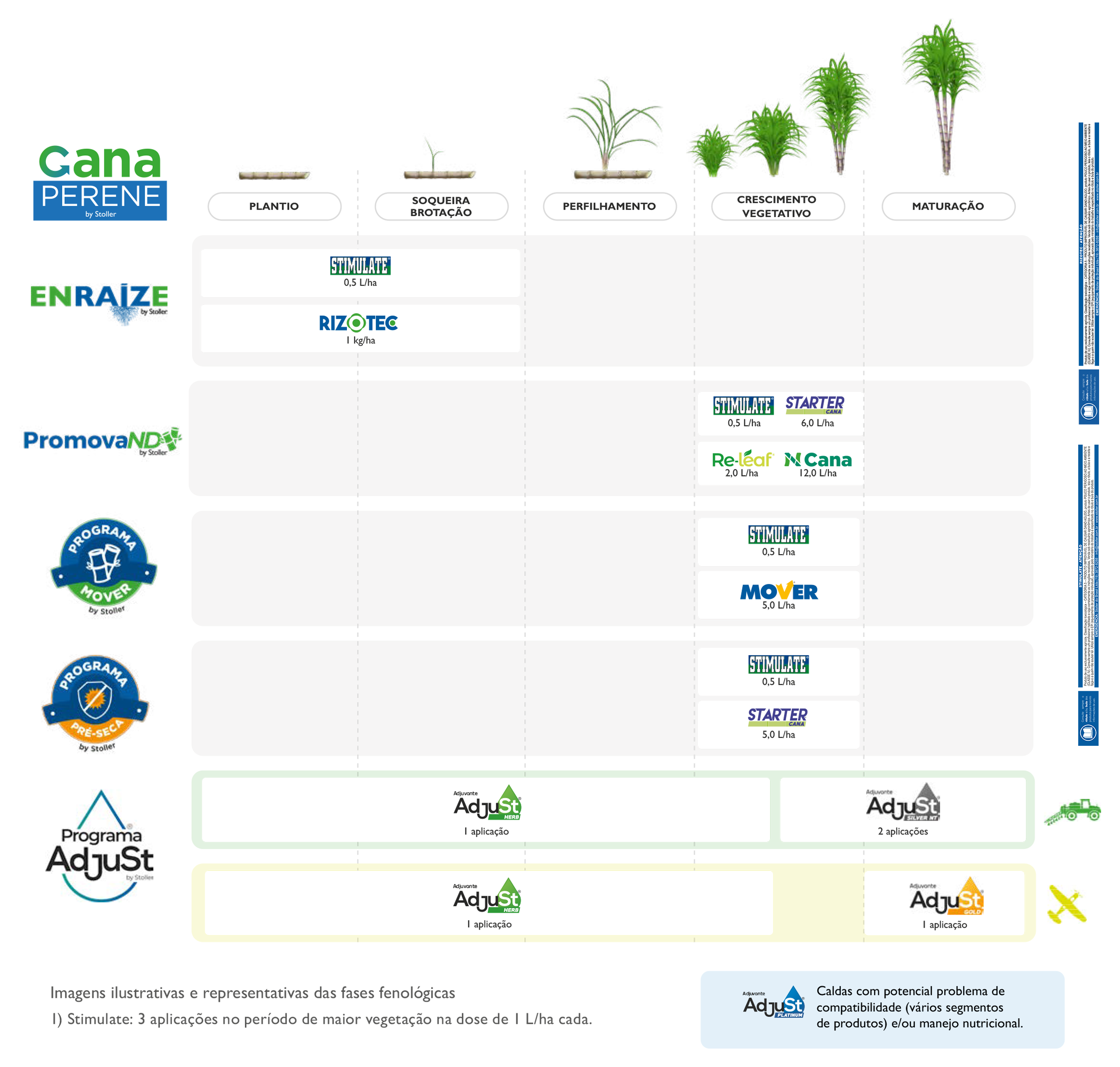 Programa do conceito Cana Perene da Stoller