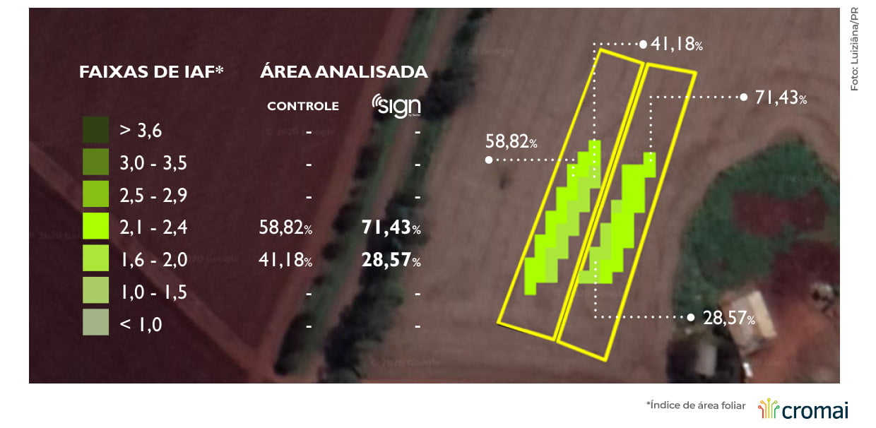 grafico-soja-milho01