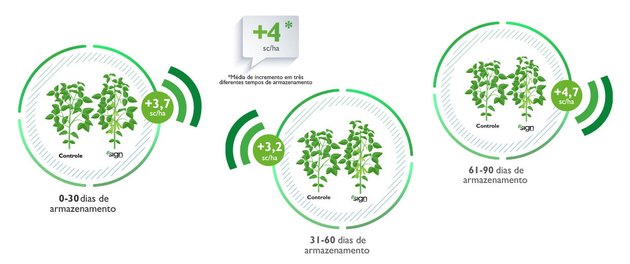 grafico-soja-milho01