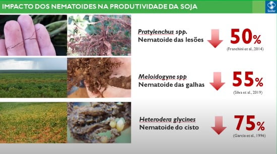 Nematoides na produtividade da soja