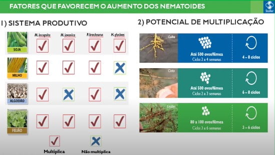 Fatores que favorecem o aumento dos nematoides