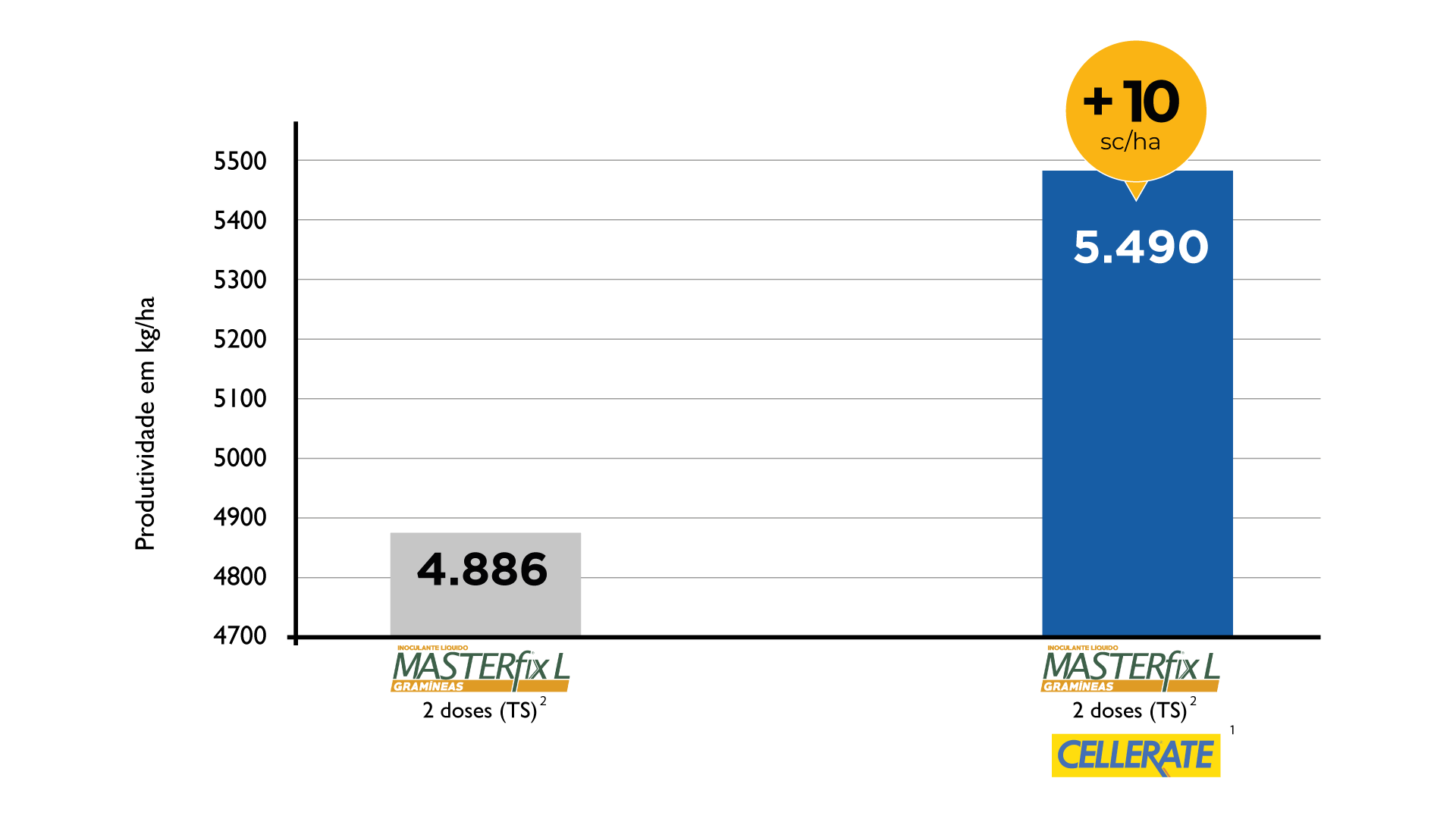 grafico05