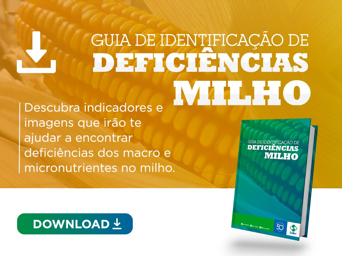 Deficiencia-milho