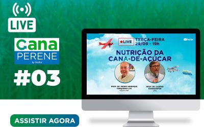 [Live 03] Cana Perene: Nutrição da cana-de-açúcar