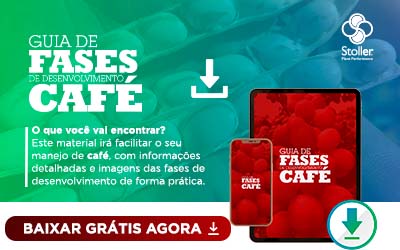 [GUIA] Fases do Café