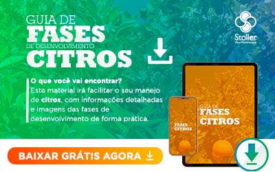 [GUIA] Fases Citros