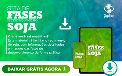 [GUIA] Fases do Soja