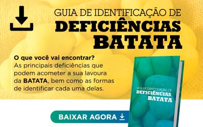 [Guia] Deficiências na Batata