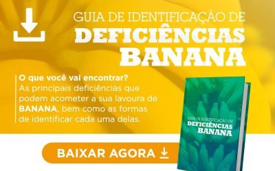 [Guia] Deficiências na Banana