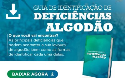 [Guia] Deficiências no Algodão