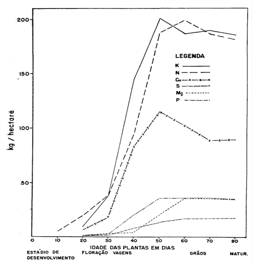 Quantidade de macronutrientes (Kg) absorvidas por 250.000 plantas (1 ha) em função do seu desenvolvimento. 