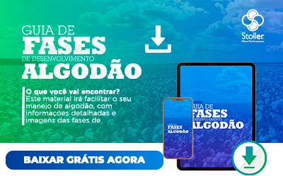 [GUIA] Fases Algodão