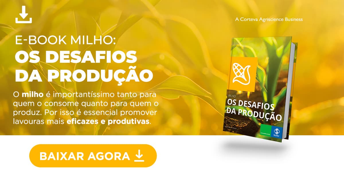 Desafios de produção