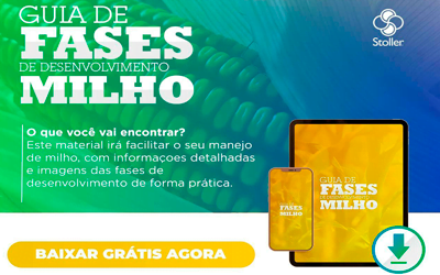 [GUIA] Fases Milho