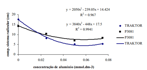 Comprimento do sistema radicular de genótipos de milho 