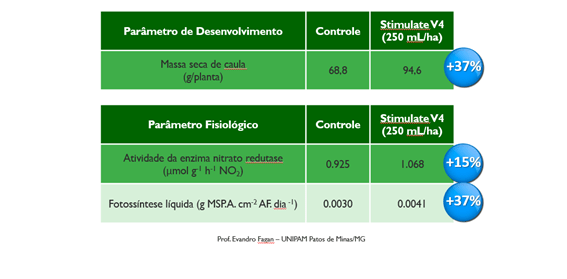 trabalho do professor Evandro Fagam da UNIPAM sobre Stimulate em V4 para aumento da massa seca do caule