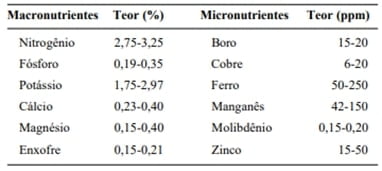 Teores foliares de nutrientes considerados adequados para a cultura do milho