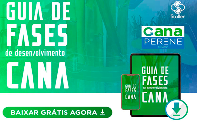 [GUIA] Fases Cana-de-açúcar