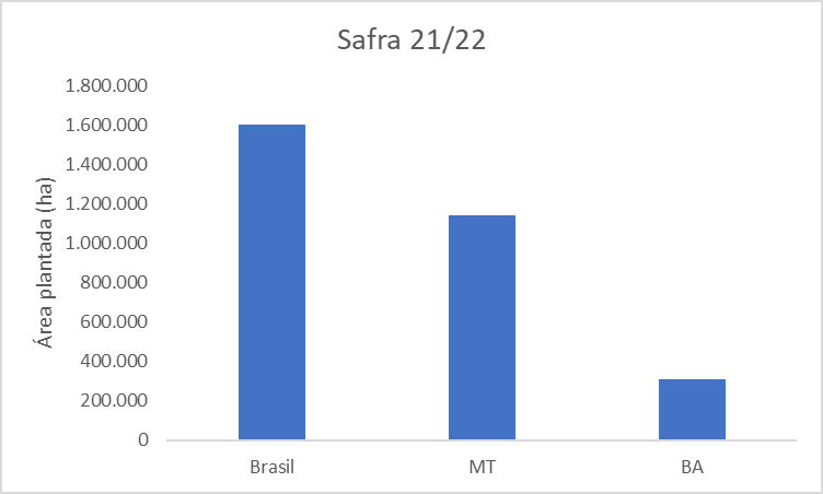 Área plantada com algodão no Brasil e nos principais estados produtores