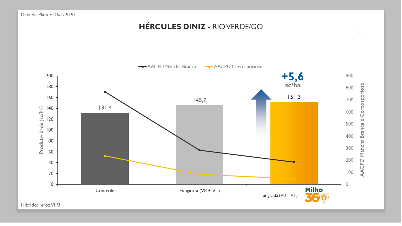 grafico_milho360