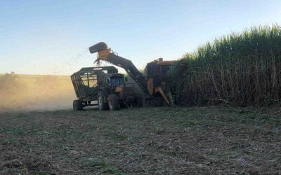 Maturadores de cana: saiba como aumentar sua eficiência