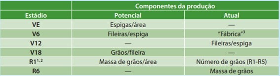 Estádios críticos do crescimento e seus componentes para definição da produção de milho