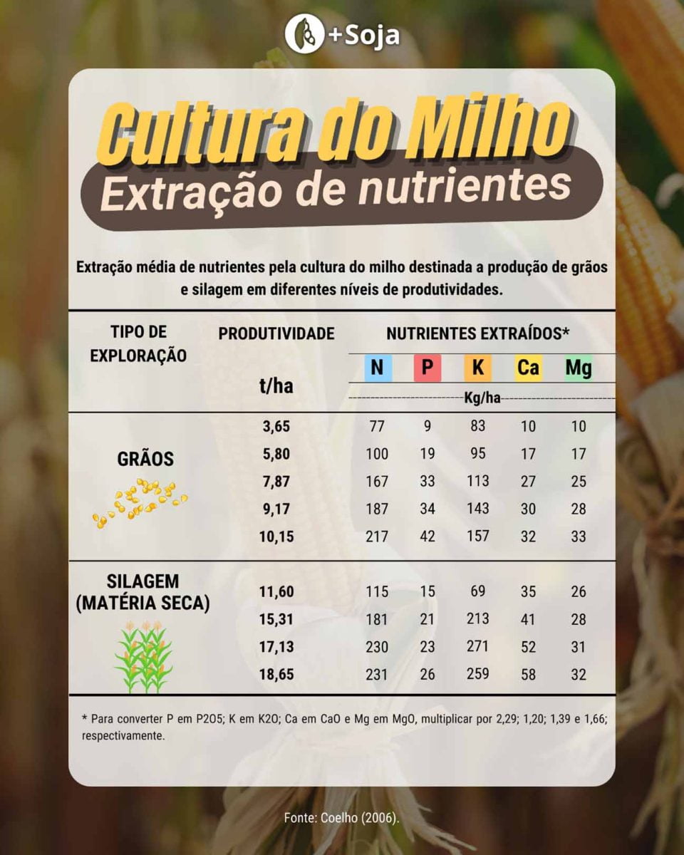 Extração de nutrientes do milho