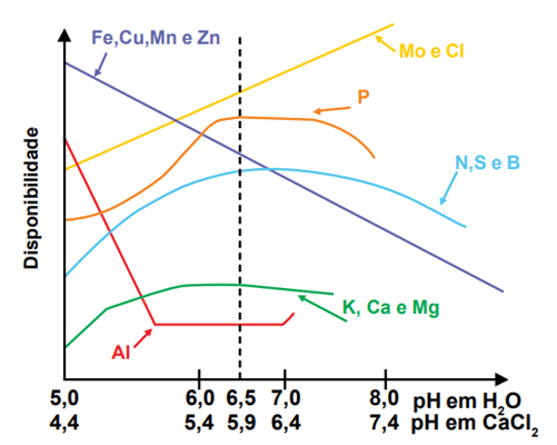 Disponibilidade de nutrientes no solo em função do pH
