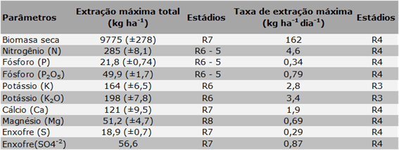 Produção de biomassa seca, extração máxima total e taxa de extração máxima de macronutrientes