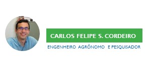 Carlos Felipe S Cordeiro