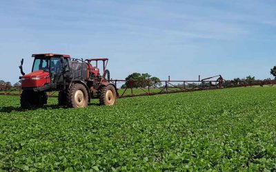 Conheça as últimas tendências em nutrição vegetal