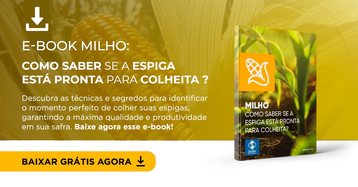 ebook-milho-desafio-producao