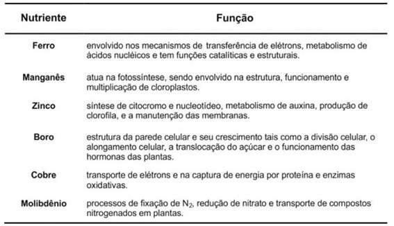 Principais funções dos micronutrientes na planta