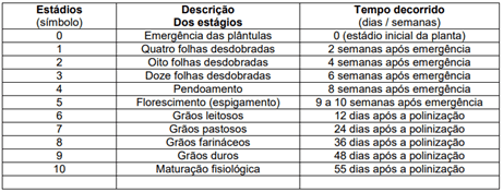 Escala fenológica do milho segundo Hanway (1963), adaptada por Fancelli (1986).