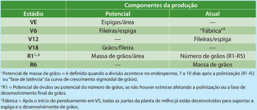 Estádios críticos do crescimento e seus componentes para definição da produção de milho.