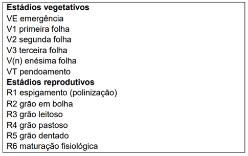 Estádios fenológicos de uma planta de milho, pela escala de Ritchie, Hanway e Benson (1993).