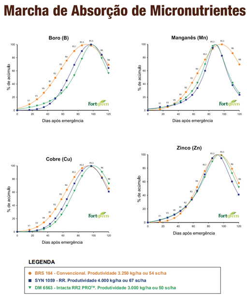 Marcha de absorção de micronutrientes em soja.