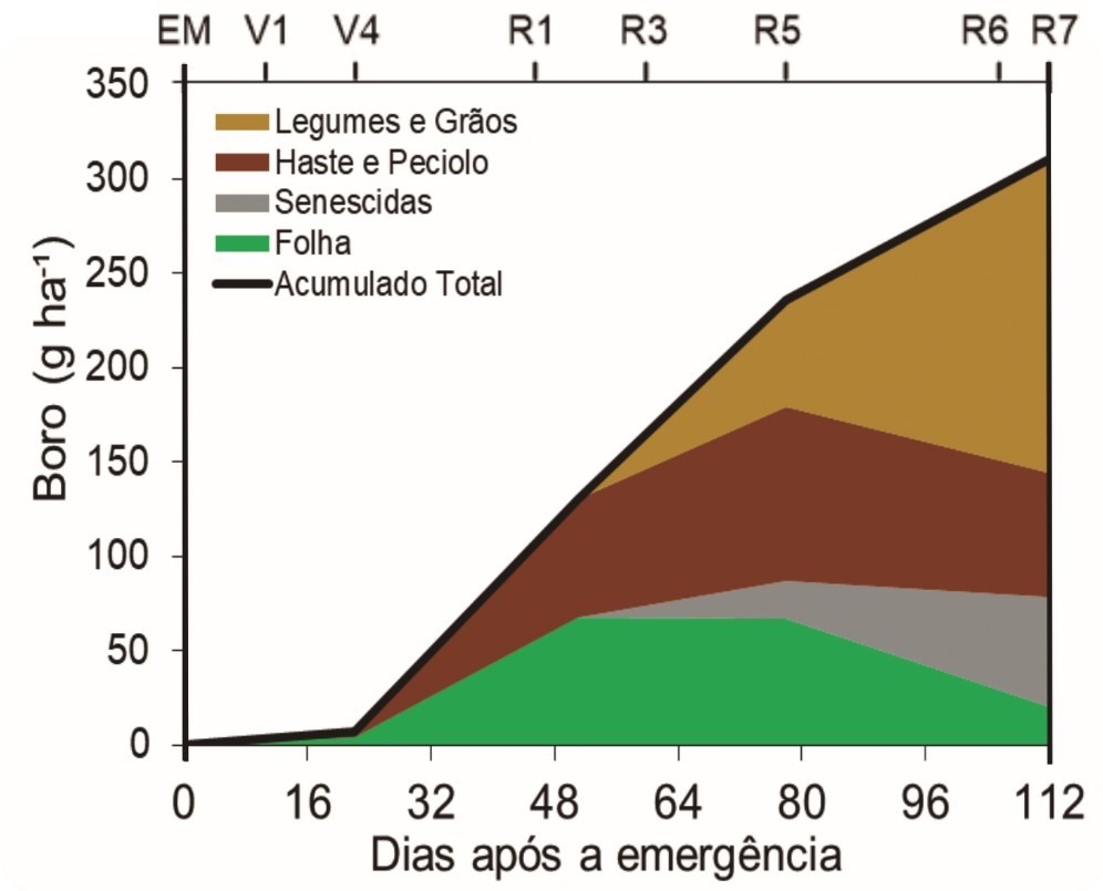 Marcha de absorção e redistribuição de boro em soja